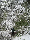 St Jacques 049.jpg St Jacques 049.jpg
